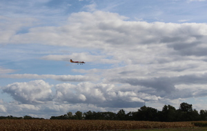 5d91da631f354_IMG2502.JPG