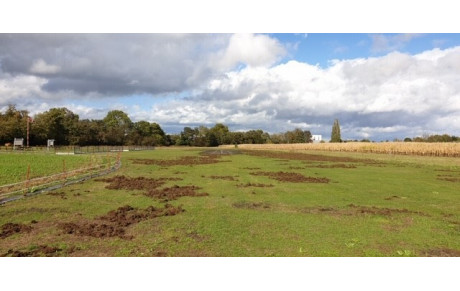 Notre terrain totalement ravagé !!